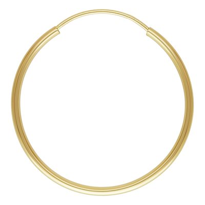 Earrings -Hoop