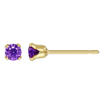 14K Gold Filled 3 mm Cubic Zirconia Birthstone Stud Earrings / February